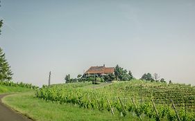 Taverna&Wine Jeruzalem